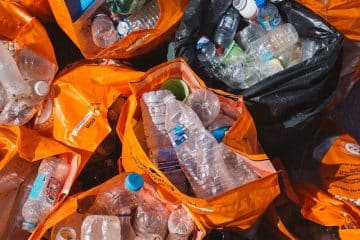 L'importance du recyclage industrielle dans la transition vers une économie circulaire