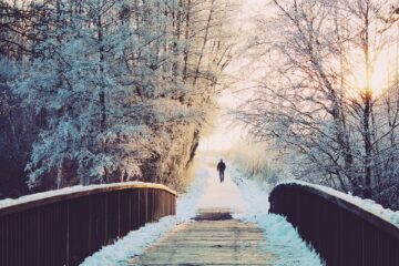 paysage hivernal